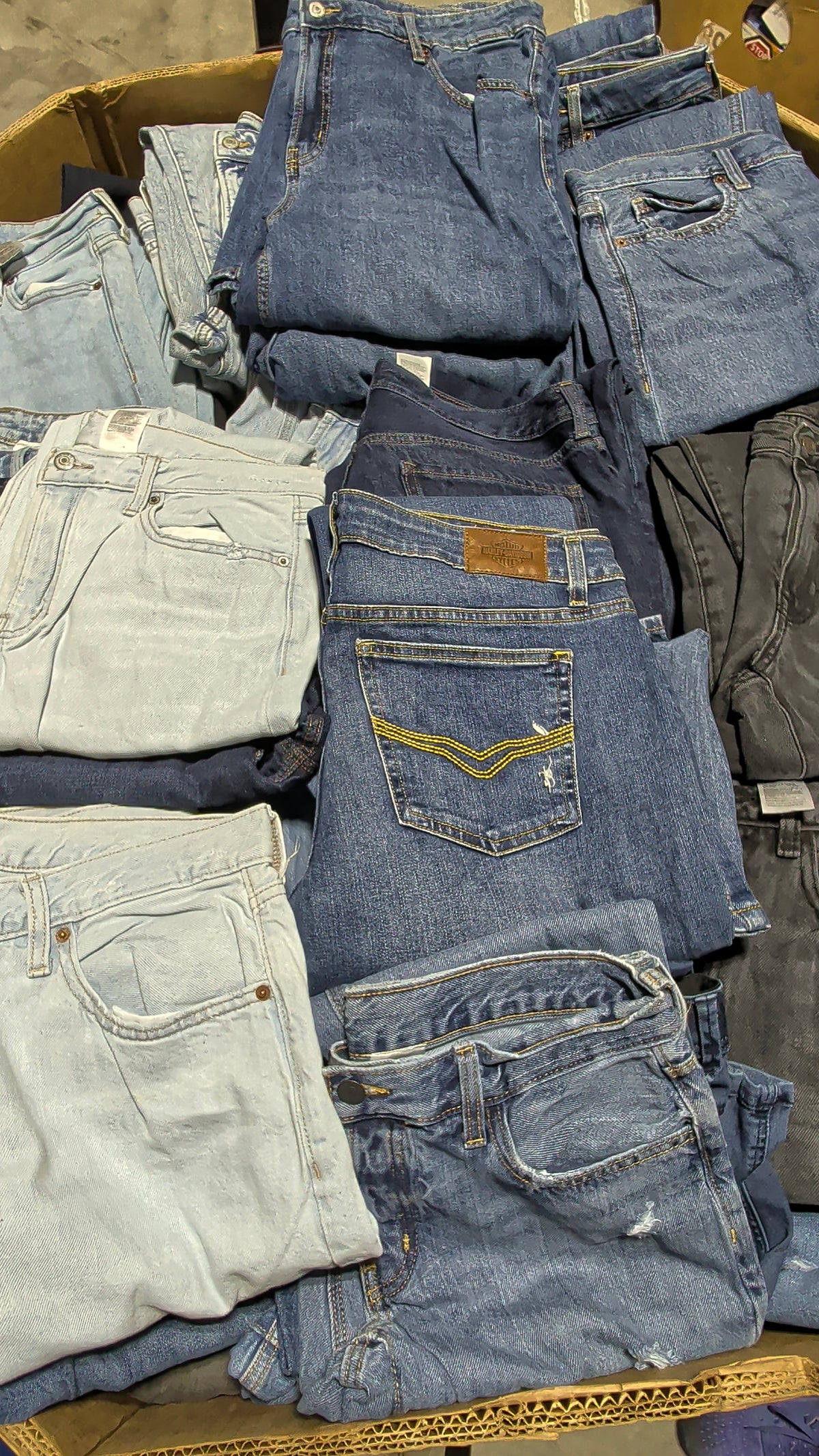 Women’s Brand-Name Denim Liquidation Closeout Pallet (300 Units)