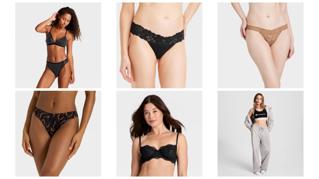 👙 Target Undergarments - Vanity Fair Lingerie, Bali, & ASSETS by SPANX #6443 (165 units) - Image 1